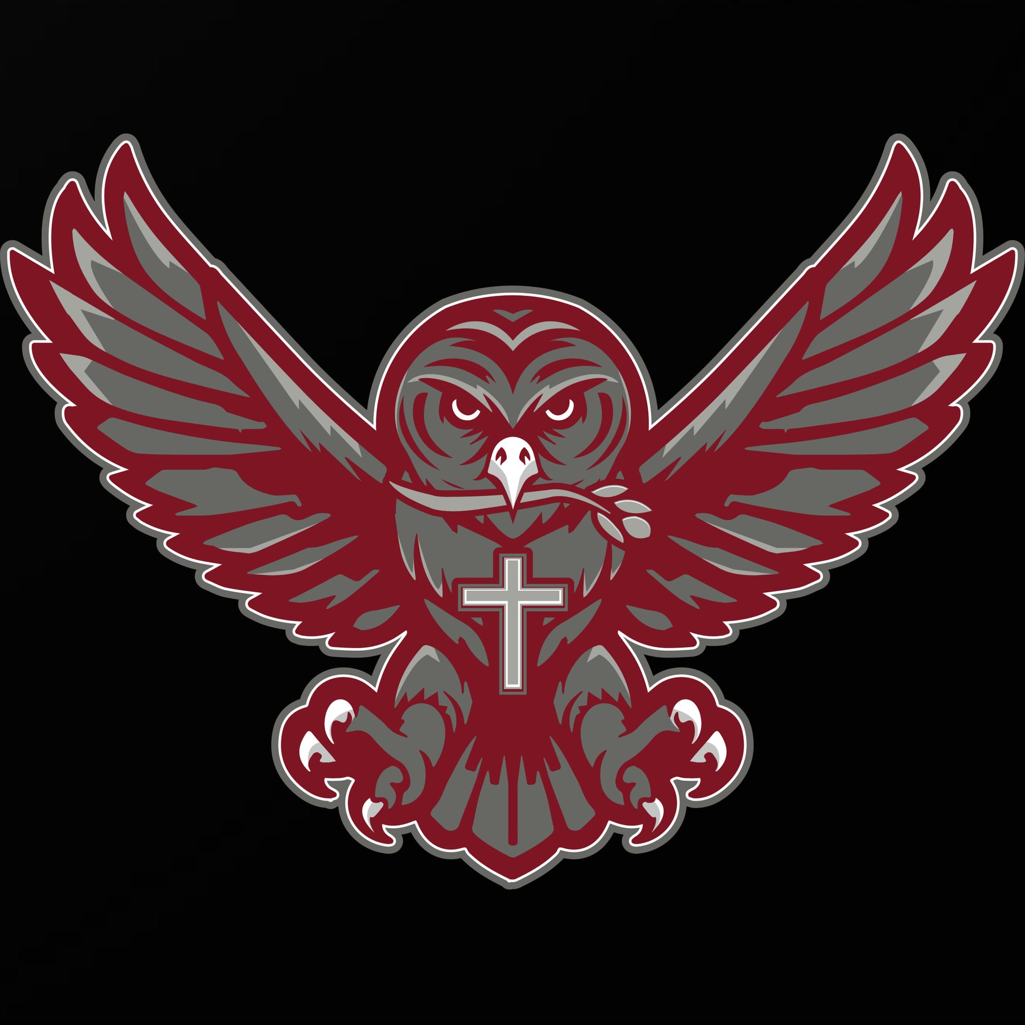 Youngstown Patricians